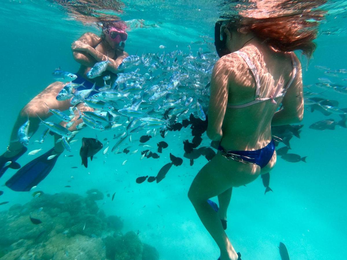 Summer Vibes Beach Front Rasdhoo エクステリア 写真